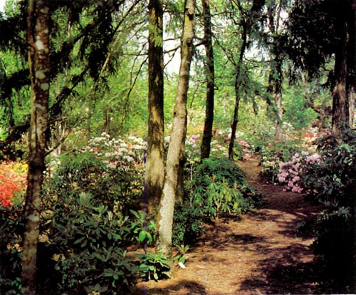 Greer Gardens