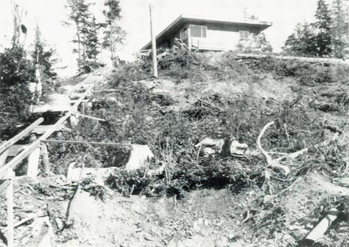 Clearing trees and stumps.