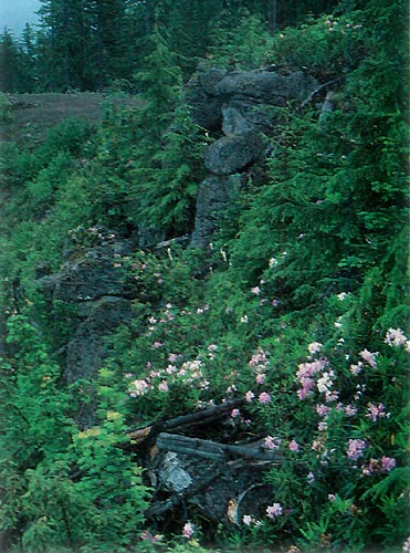 East end of Boulder Ridge