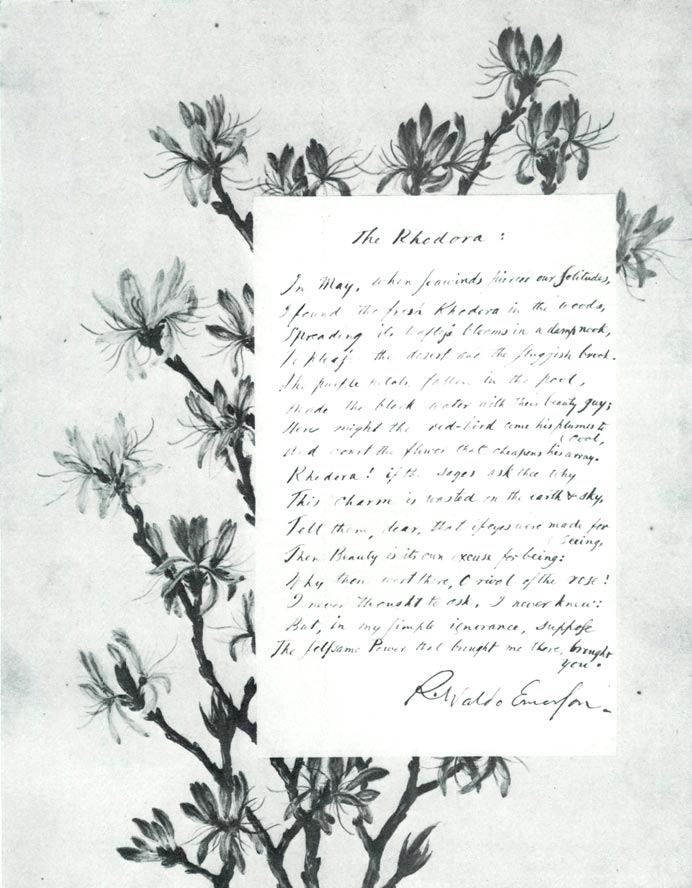 The Rhodora poem