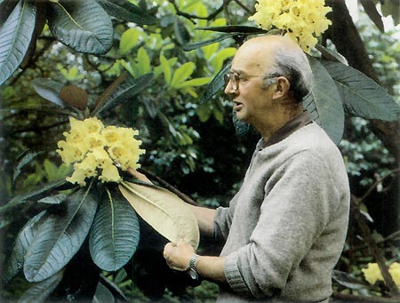 John Basford with Exbury's 'Fortune'.