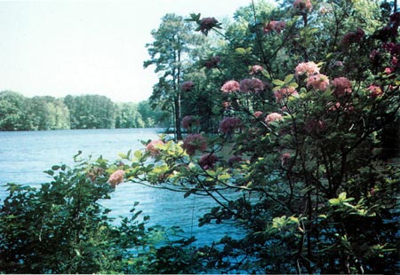 Norfolk Botanical Garden