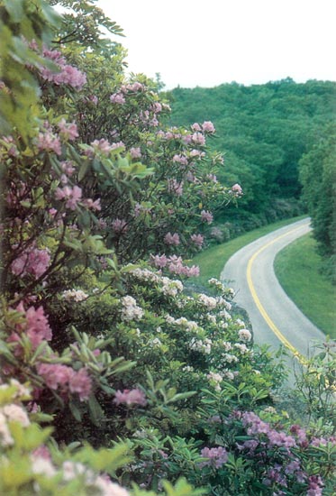 Blue Ridge Parkway