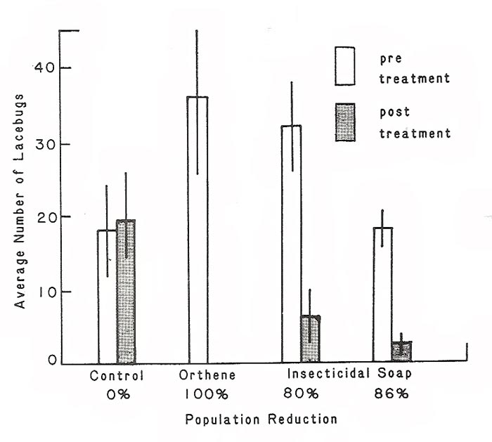 Number of lacebugs on azalea, prior to 
and two days after insecticide treatments.