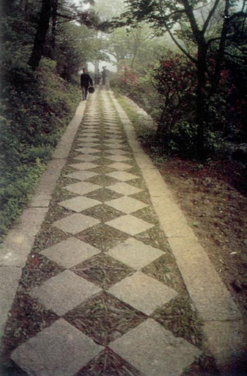 Walkway at Lu Shan Botanical Garden