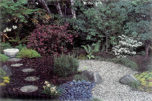 Panoramic view of dry pond area