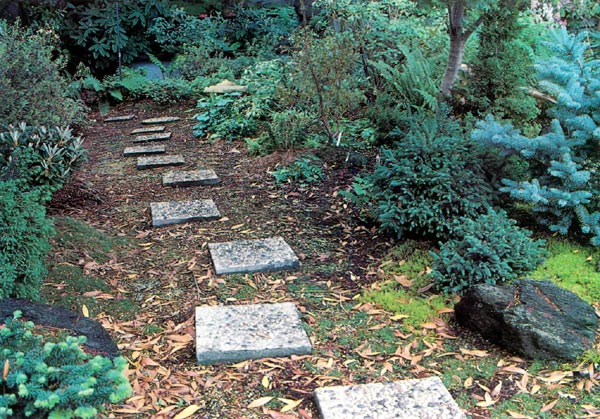 Stepping stone path across front of house.