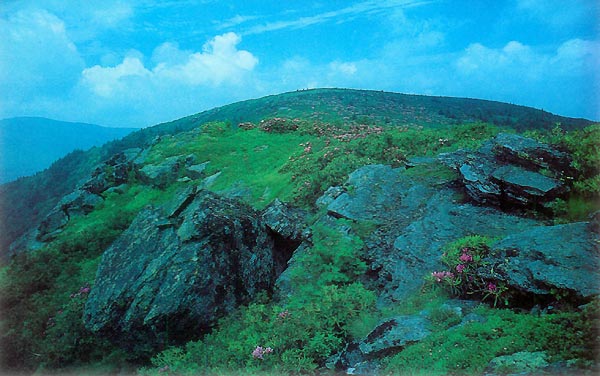 Grassy Ridge Bald