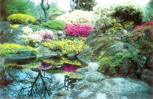 Upper pool in Abkhazi garden