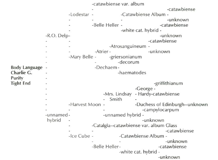 R. 'R. O. Delp' parentage