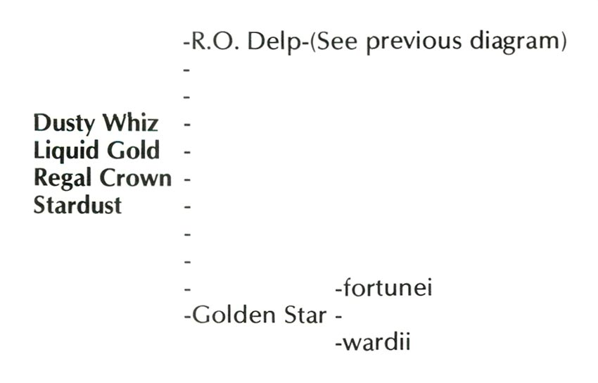 Delp hybrid parentage