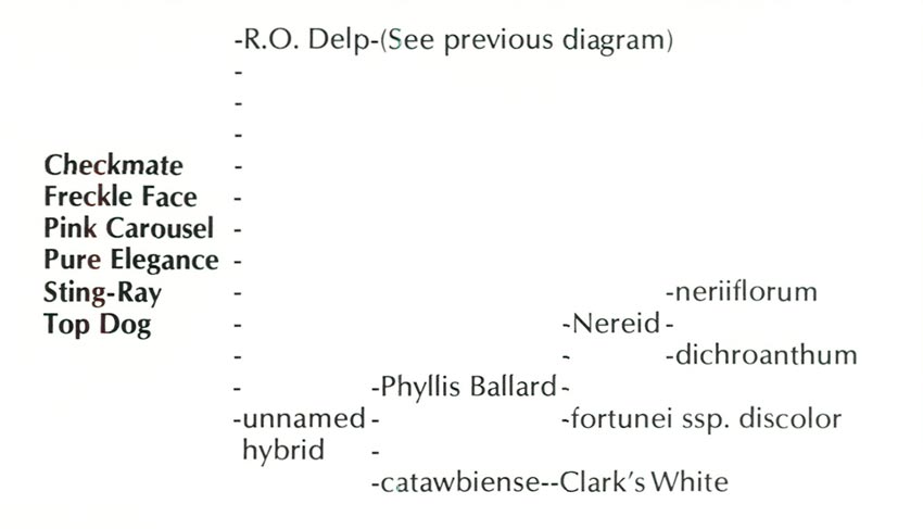 Delp hybrid parentage