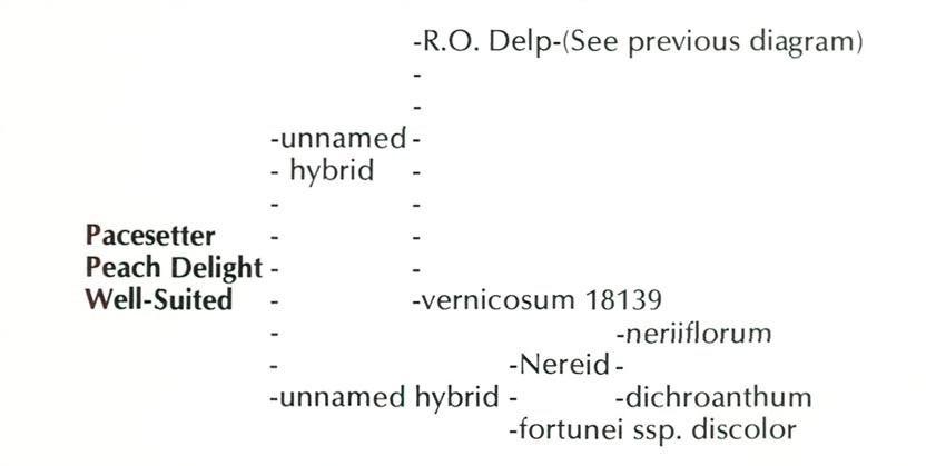 Delp hybrid parentage