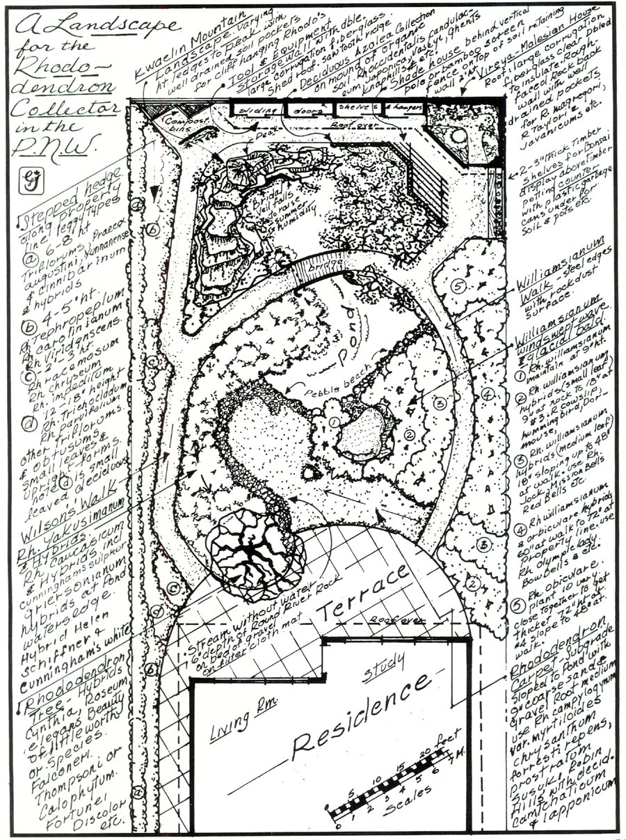 Design for rhododendron garden