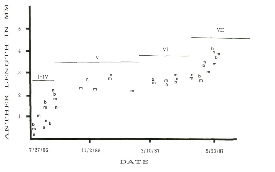 Seasonal changes in anther length