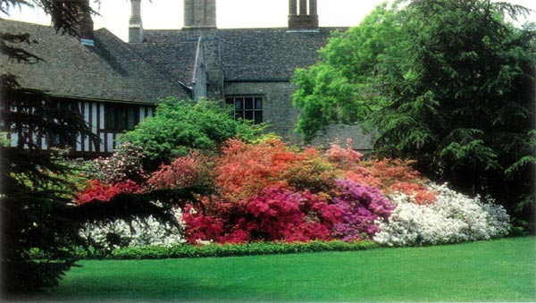 Coe Hall and azaleas