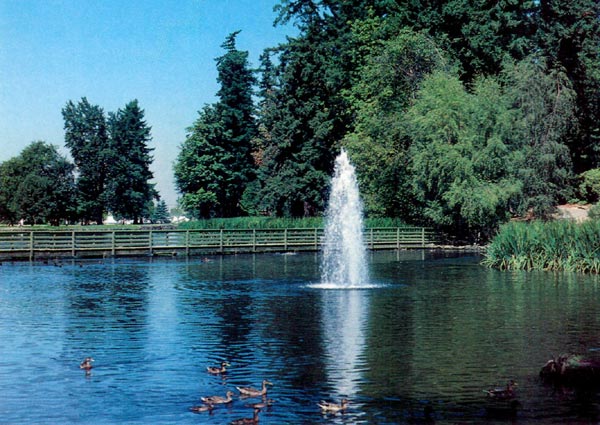 Fred Paddison Fountain, Crystal Springs
Garden