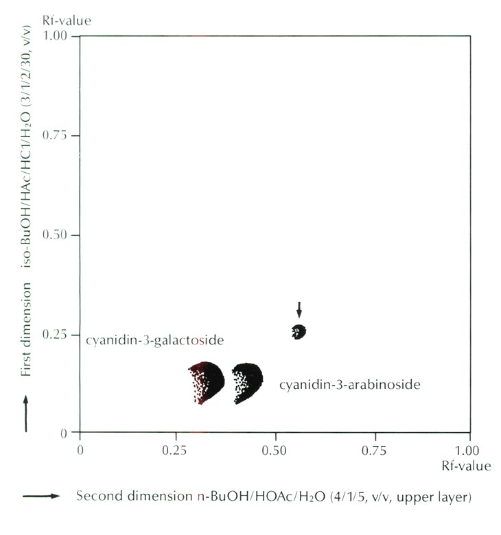 Thin layer chromatogram of anthocyanins of
R. griersonianum