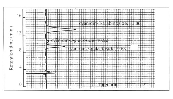 HPLC profiles of the anthocyanins of R. kaempferi