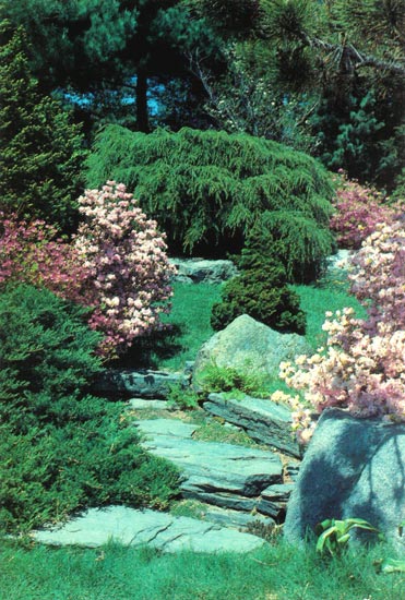 Weston Nurseries garden