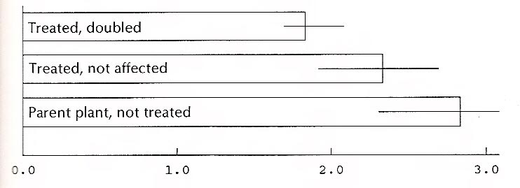 Ratio of length to width, 'Wendy Lyn' 
leaves