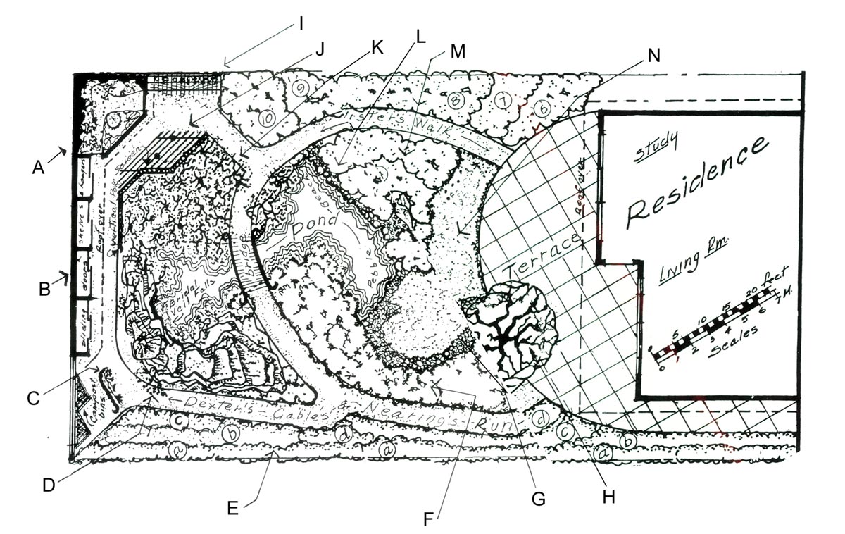 Rhododendron garden layout