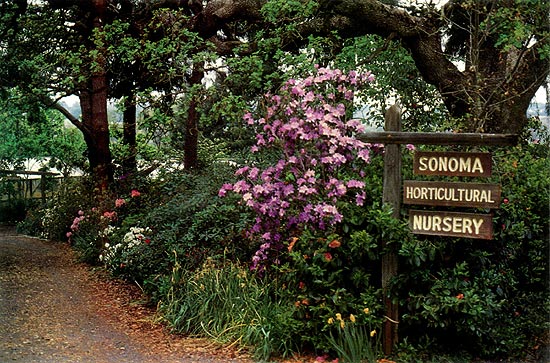 Sonoma Horticultural Nursery