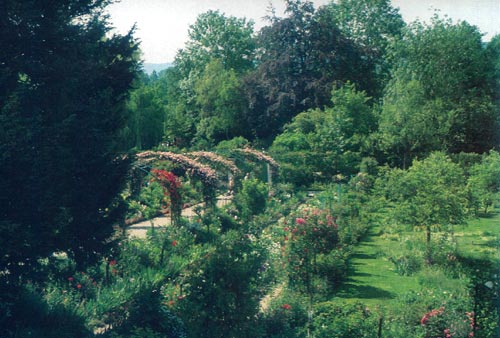 Monet's Garden