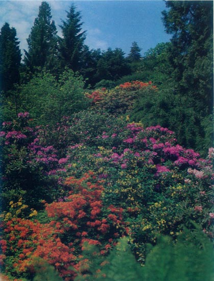 Mainau Island, Lake Constance