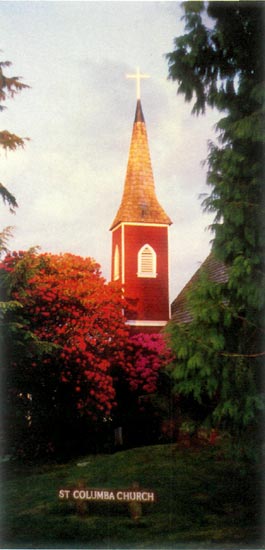 Rhododendrons planted by Fraser at 
St. Columba Church