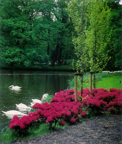 Keukenhof Garden