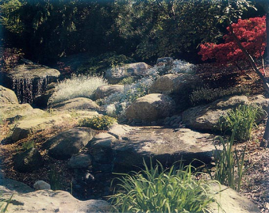 Japanese garden