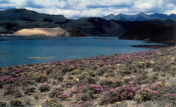 Kong Wu Lake and the Lapponicum Sea