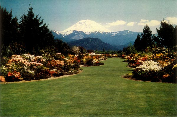 Bob and Betty Anderson garden