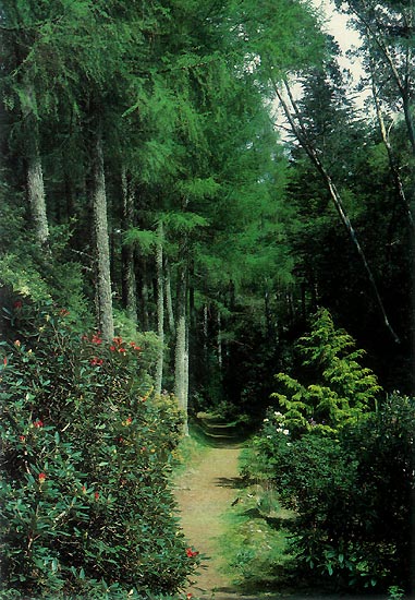 View down Gully Path