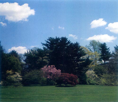 Planting Fields, across East Lawn