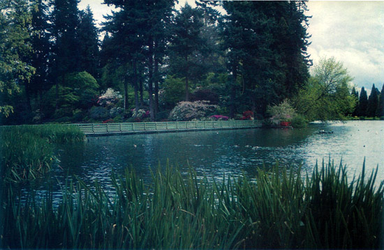 Low bridge leading to island