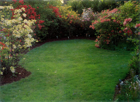 Beneschoen Gardens, Myrtle Creek,
Oregon