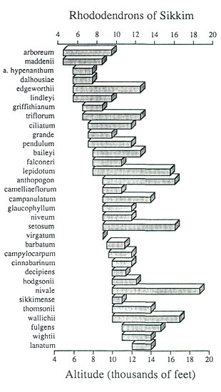 Rhododendrons of Sikkim