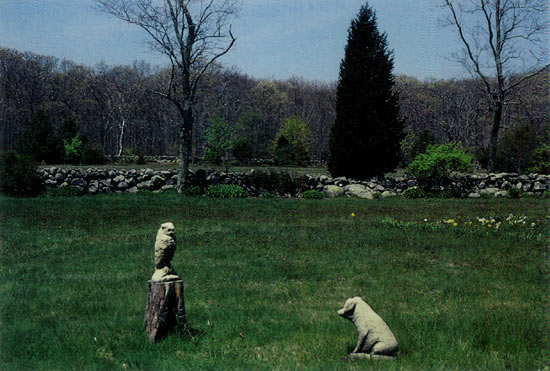 Owl and pig in the El field looking
south