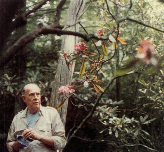 John Barber in front of original tree of
red maximum in 1983