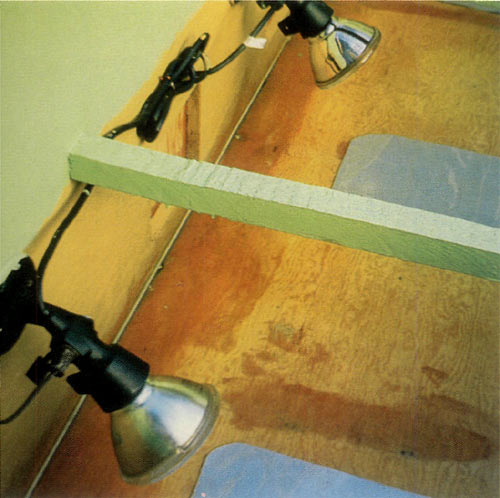 Figure 2. Detail on heat lamps and
sockets