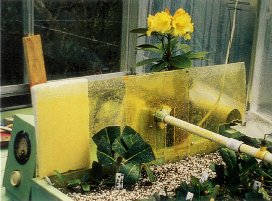 Figure 5. Left area of propagator
being planted