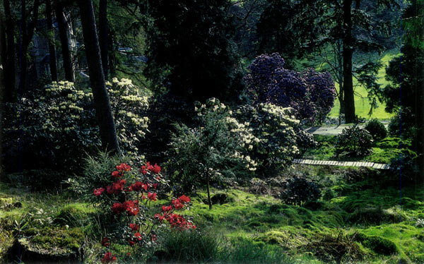 Benmore: a view toward the house