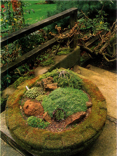 Trough garden on the terrace of
the Platt home.