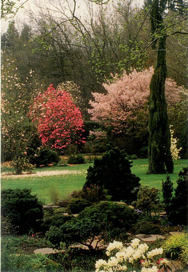 View across the rock garden.