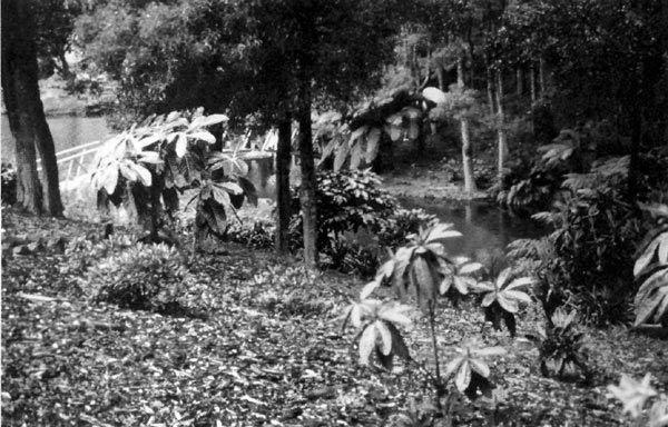 Emu Valley Rhododendron Garden