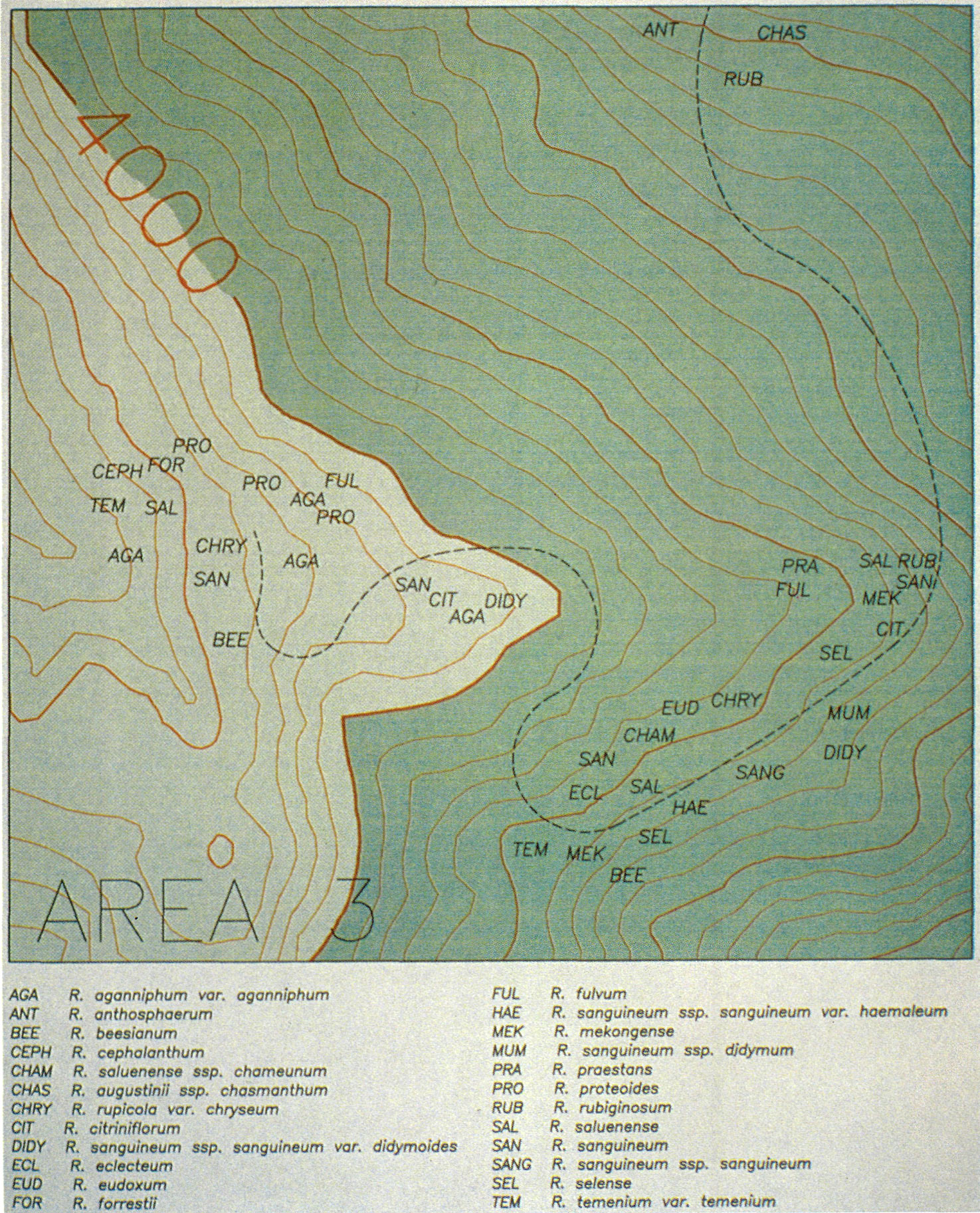 1994 Mekong Rhododendron Expedition,
Area #3