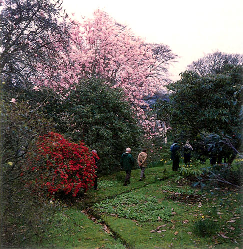 Glenarn Garden