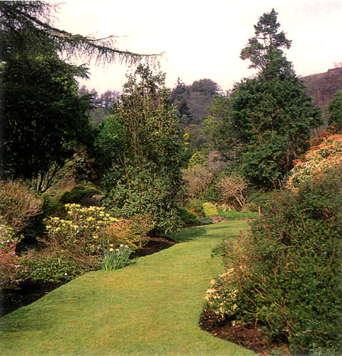 Arduaine Garden